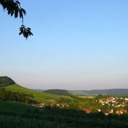 Deutsche Weinfolklore