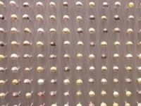 Galeria da Biodiversidade, Porto