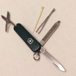 Victorinox Classic SD in grün